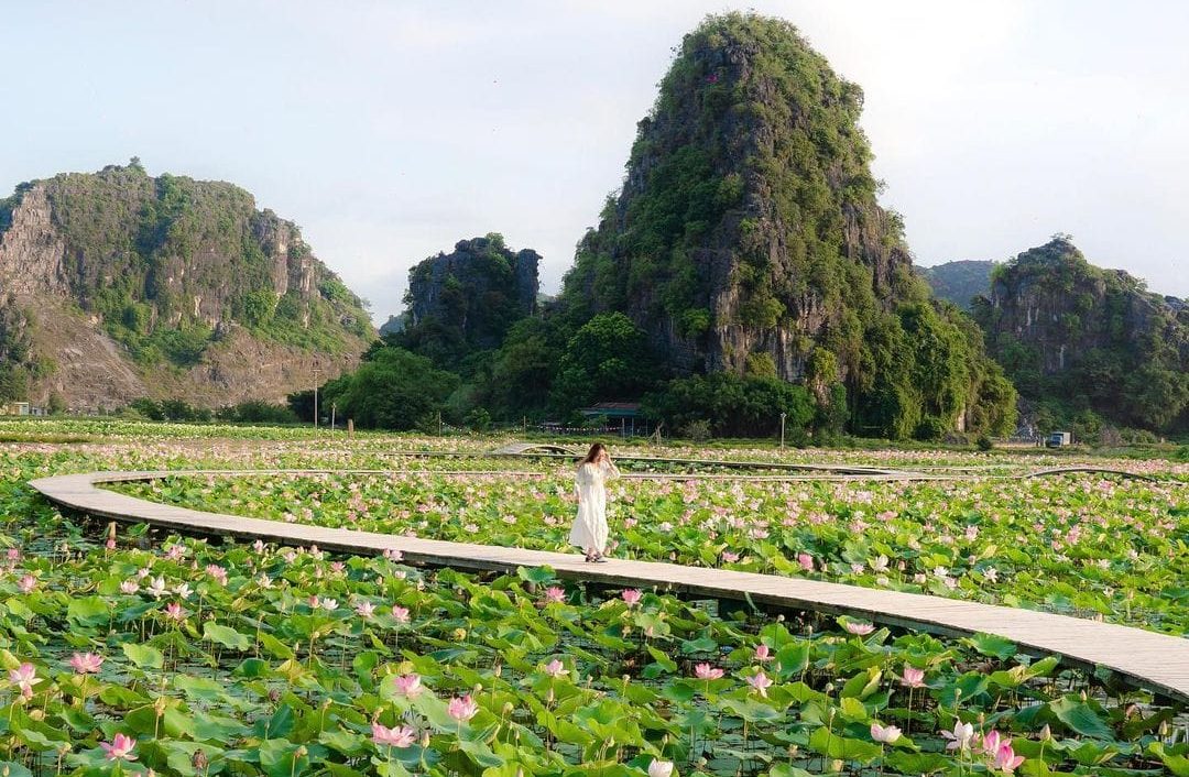 Soft late-afternoon sunlight illuminating sweeping carpets of green rice fields and winding rivers below.