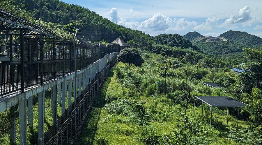 Learning about wildlife protection in Vietnam.