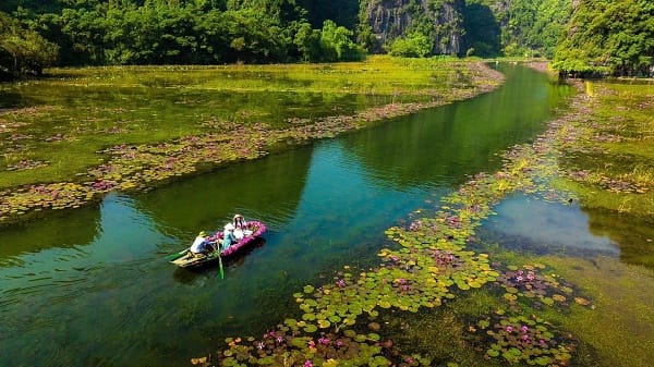 Water lilies painting peaceful riverscapes in autumn.
