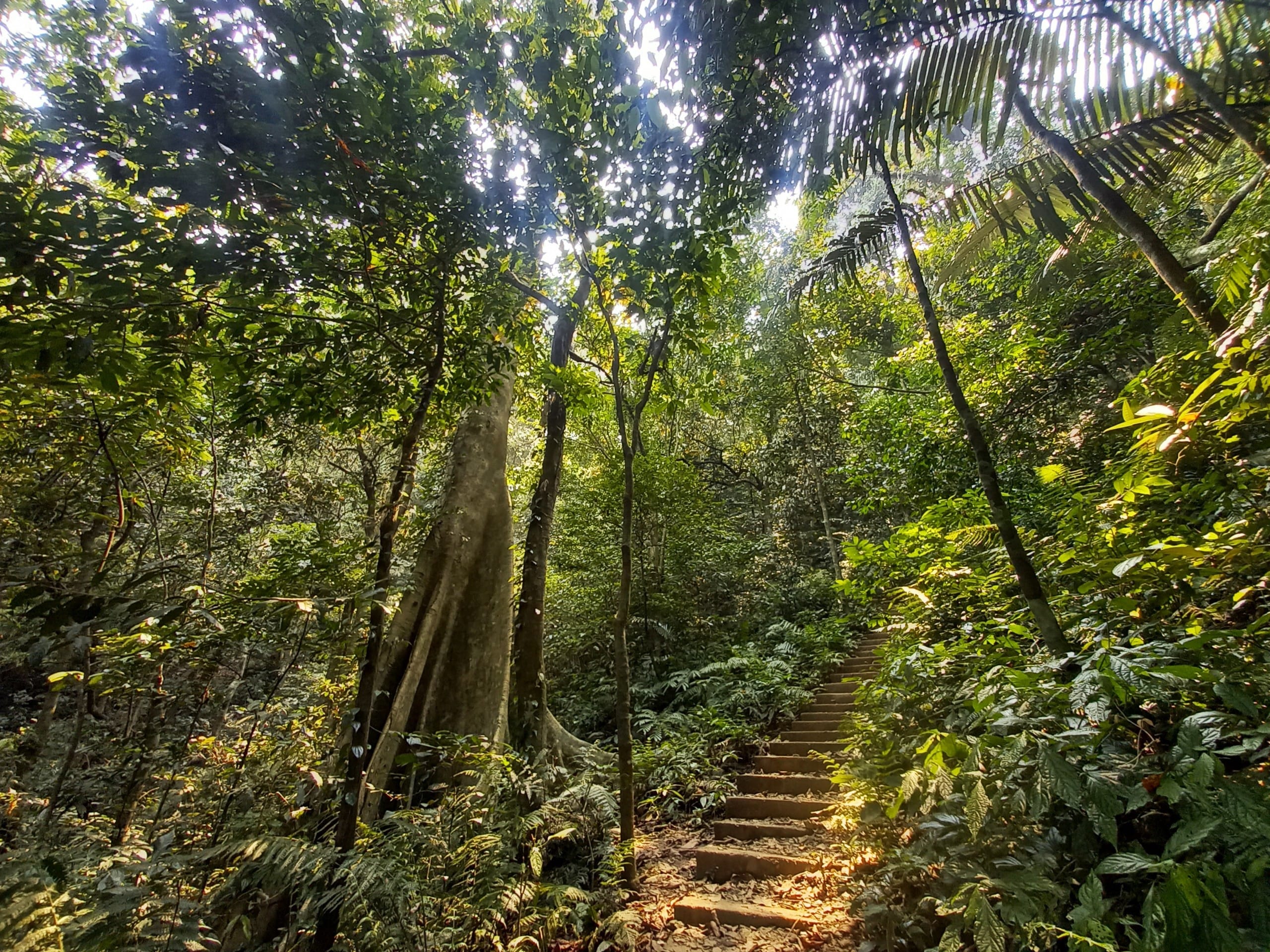 Soft dawn light reflecting gently across the peaceful treckking path and limestone peaks of Ninh Binh.