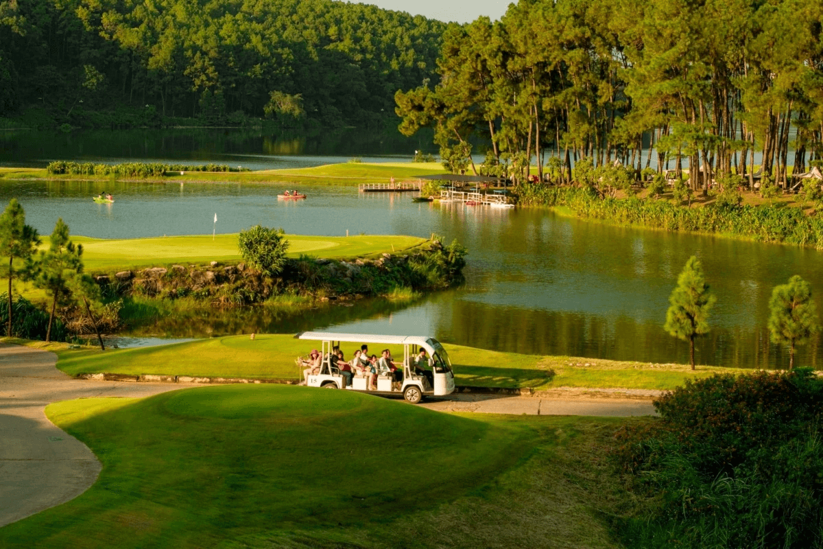 Exploring unique pine forest landscapes that rank among the finest ninh binh hidden gems.