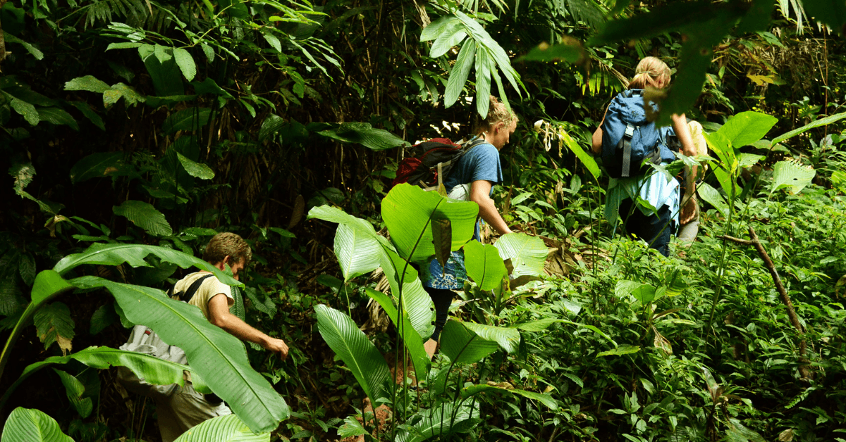 This is the best Ninh Binh tour crafted specifically for those seeking the region's wild side