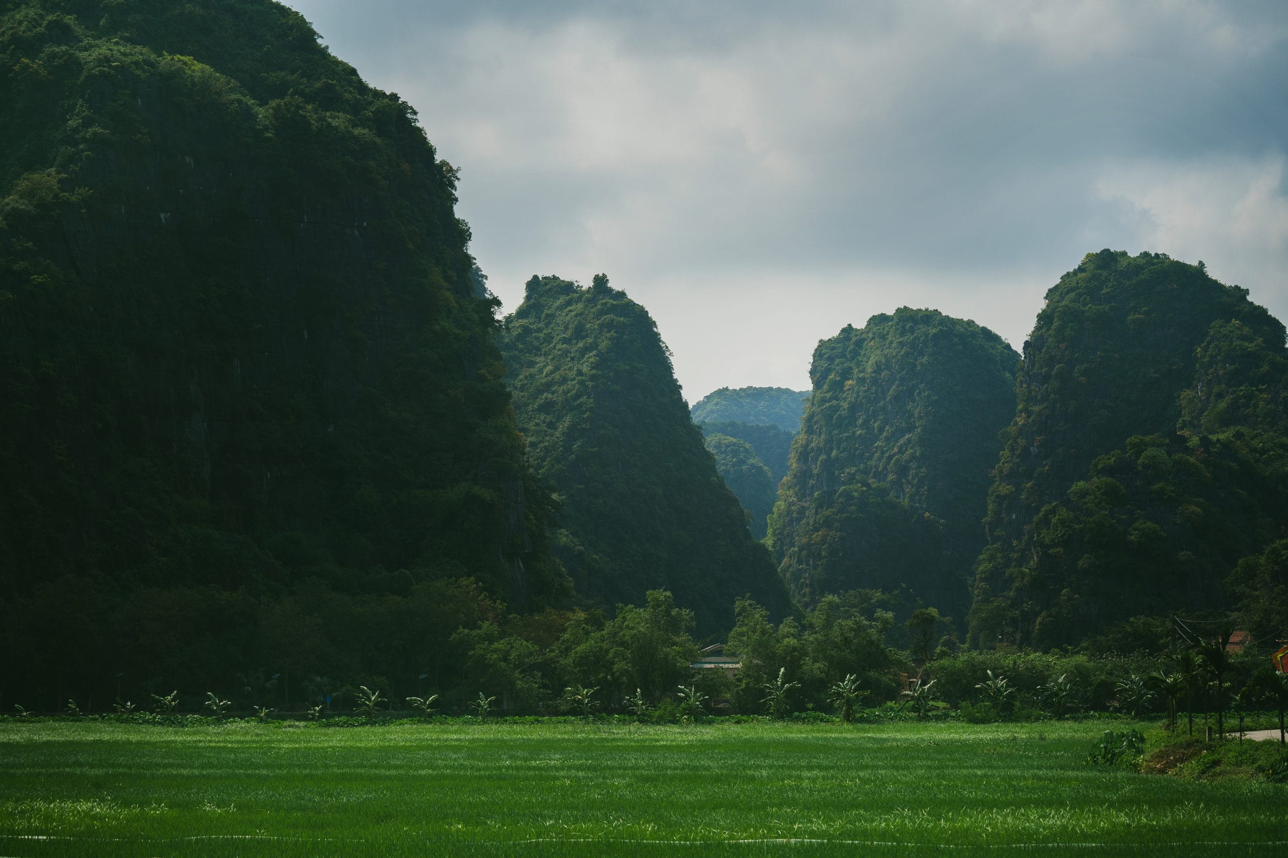 The tam coc boat tour offers an authentic window into the ancient heritage of the Red River Delta.