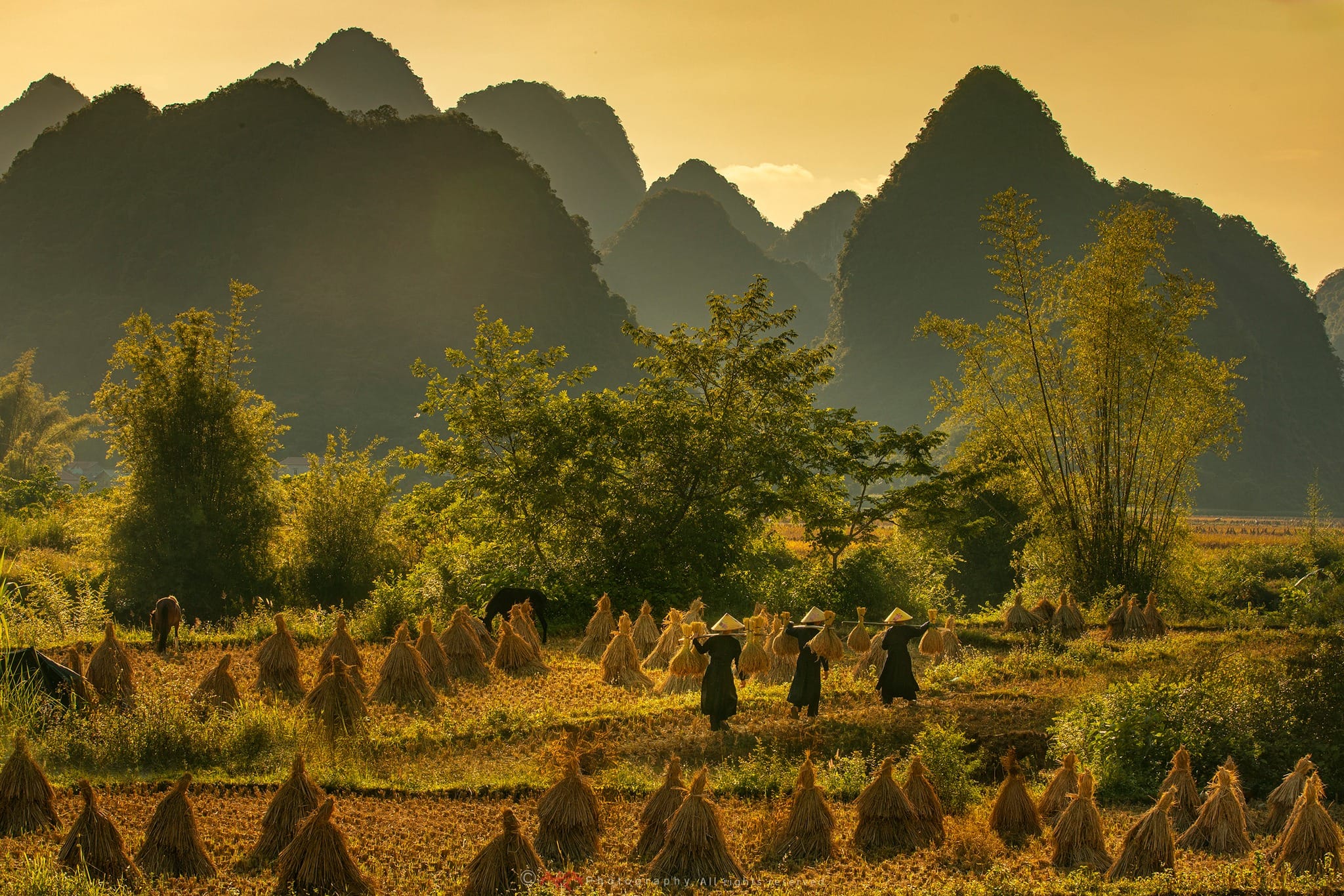Why a Day Tour Ninh Binh Is a Must-Do Experience