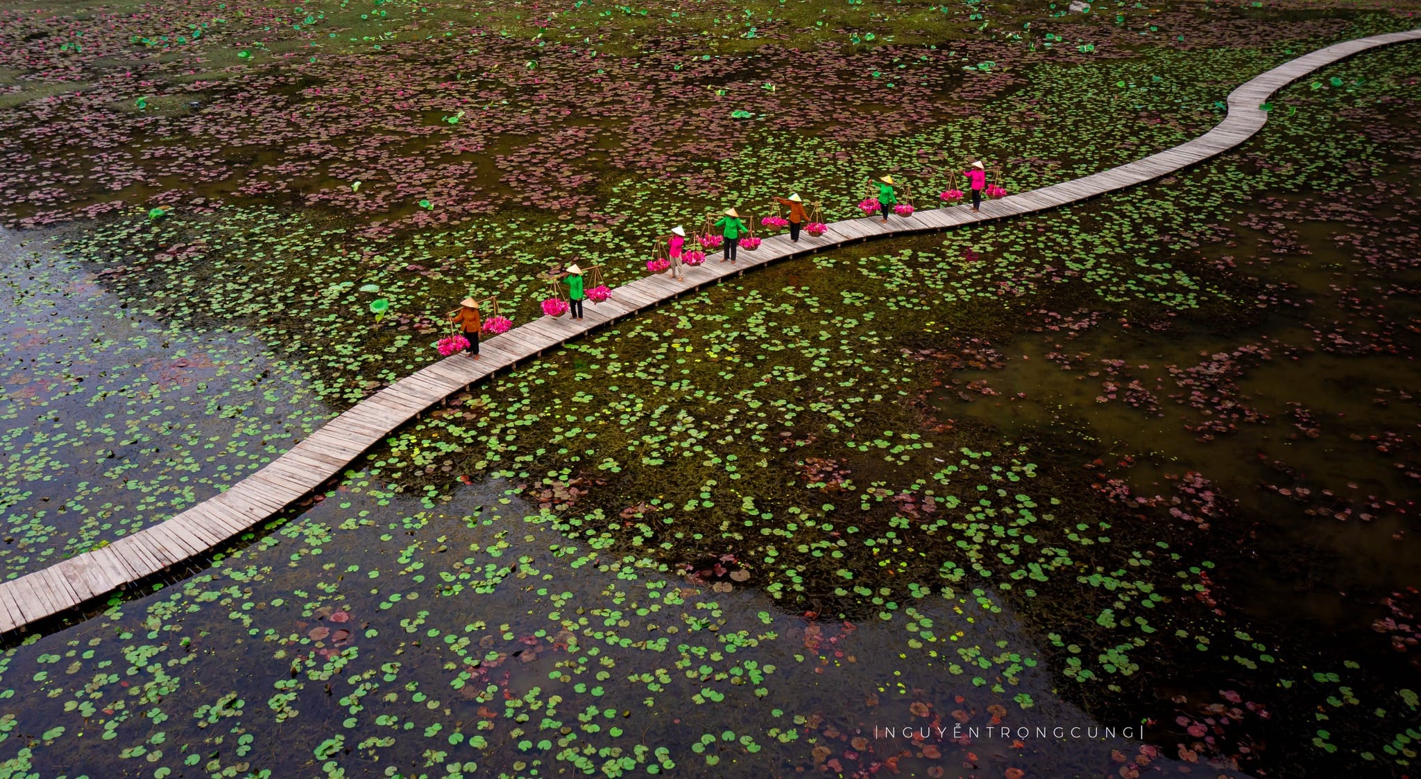 The mist-covered flowers paddies of Ninh Binh, a must-see heritage destination in Northern Vietnam.