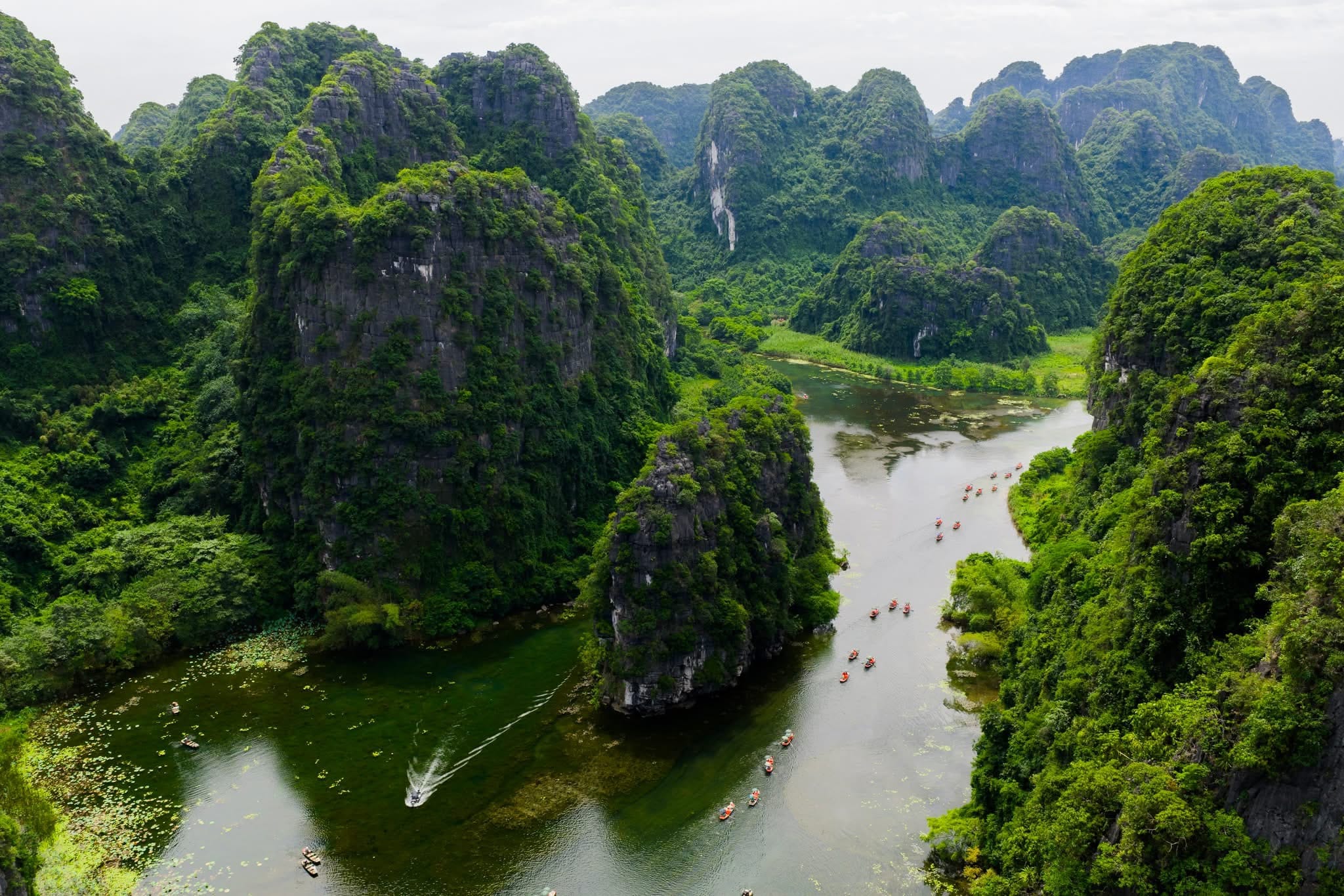 A vibrant scene during a local festival in Spring, showcasing the cultural spirit of Trang An Ninh Binh
