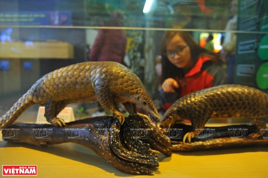 Interactive displays at the Visitor Center providing insight into the park's rich biodiversity.
