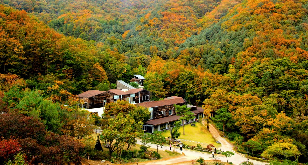 Eco-friendly accommodations nestled in the tranquil mountains of Hongcheon, promoting deep sleep.
