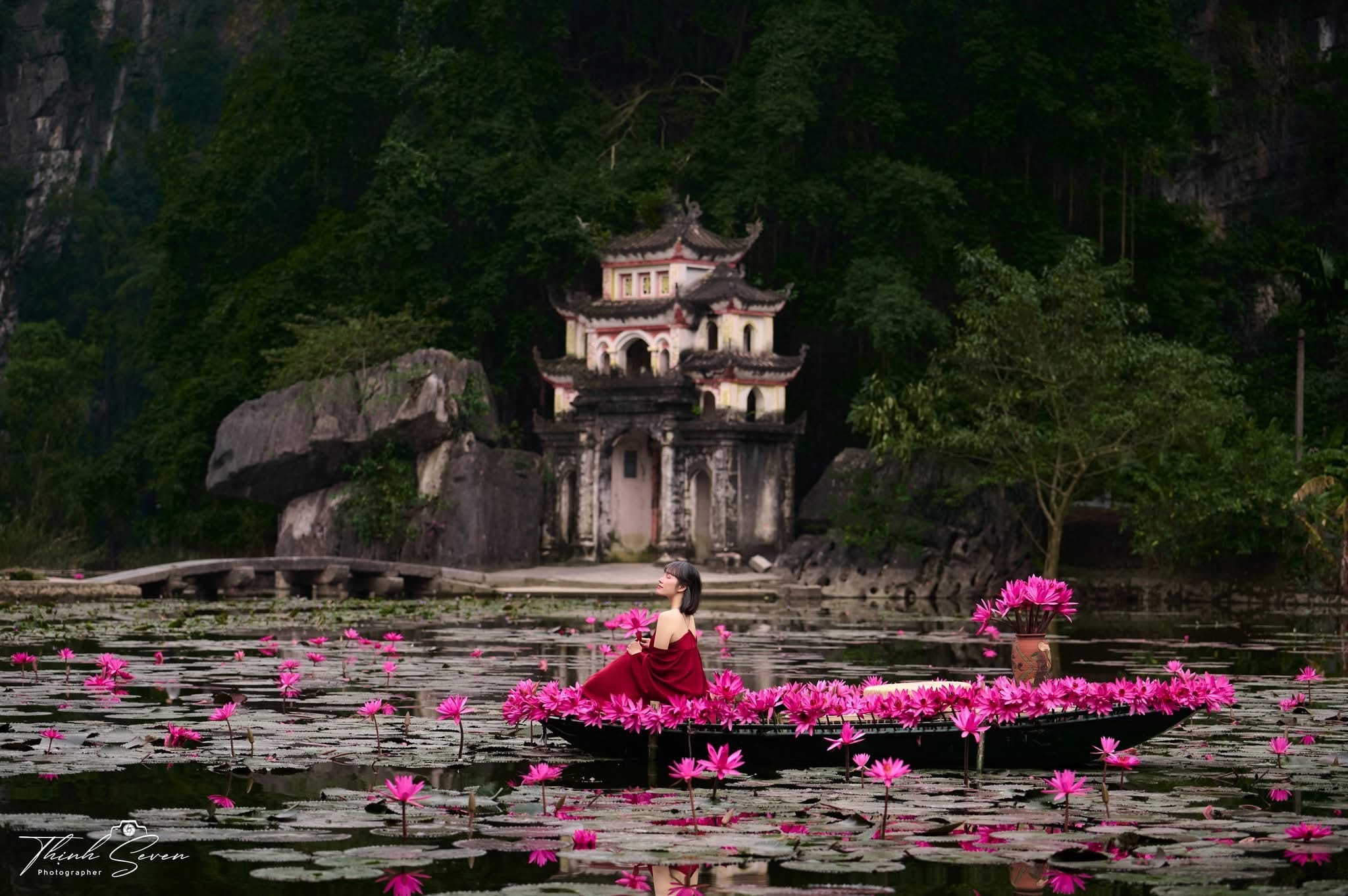 Seasonal beauty: the shifting colors of rice, lotus & water lily along the Ngo Dong River.