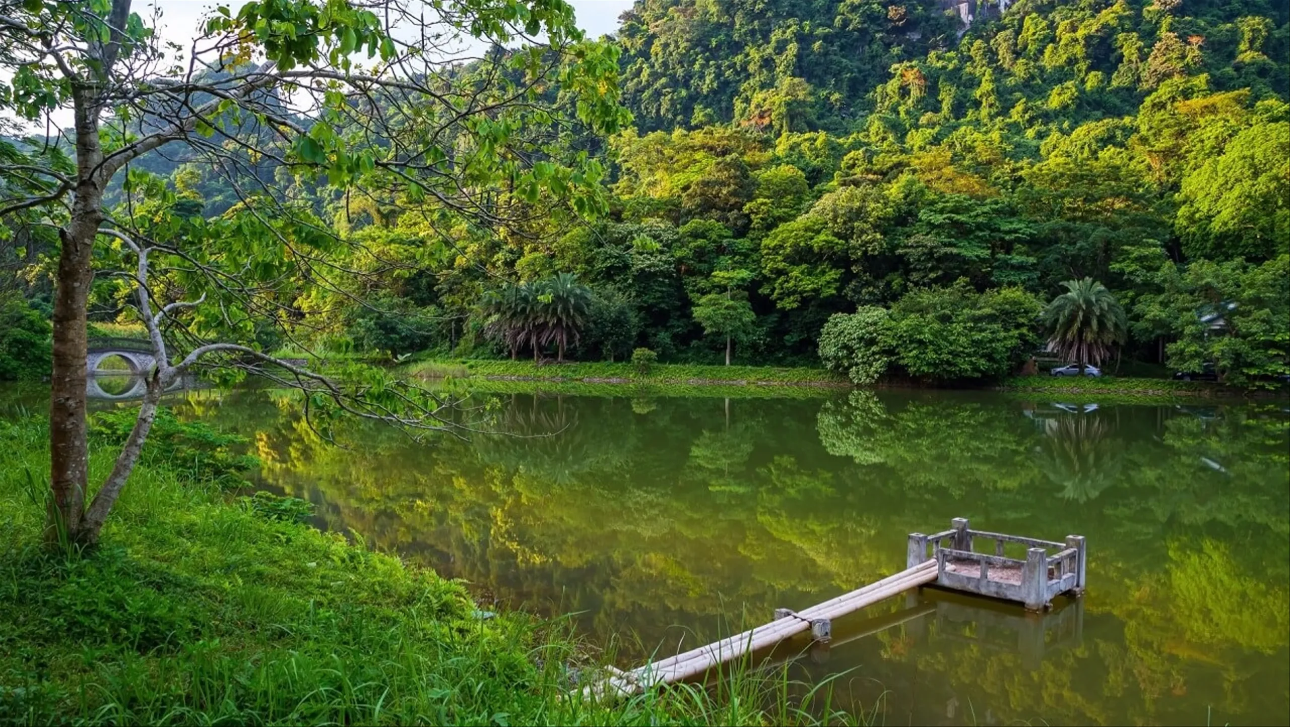 A stunning wide shot of sunlight filtering elegantly through the thick canopy of a protected tropical forest trail.