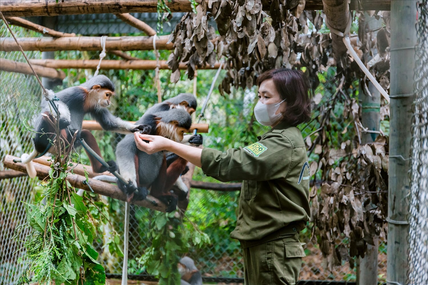 The Primate Rescue Center, recognized as the largest primate rescue center in the world .
