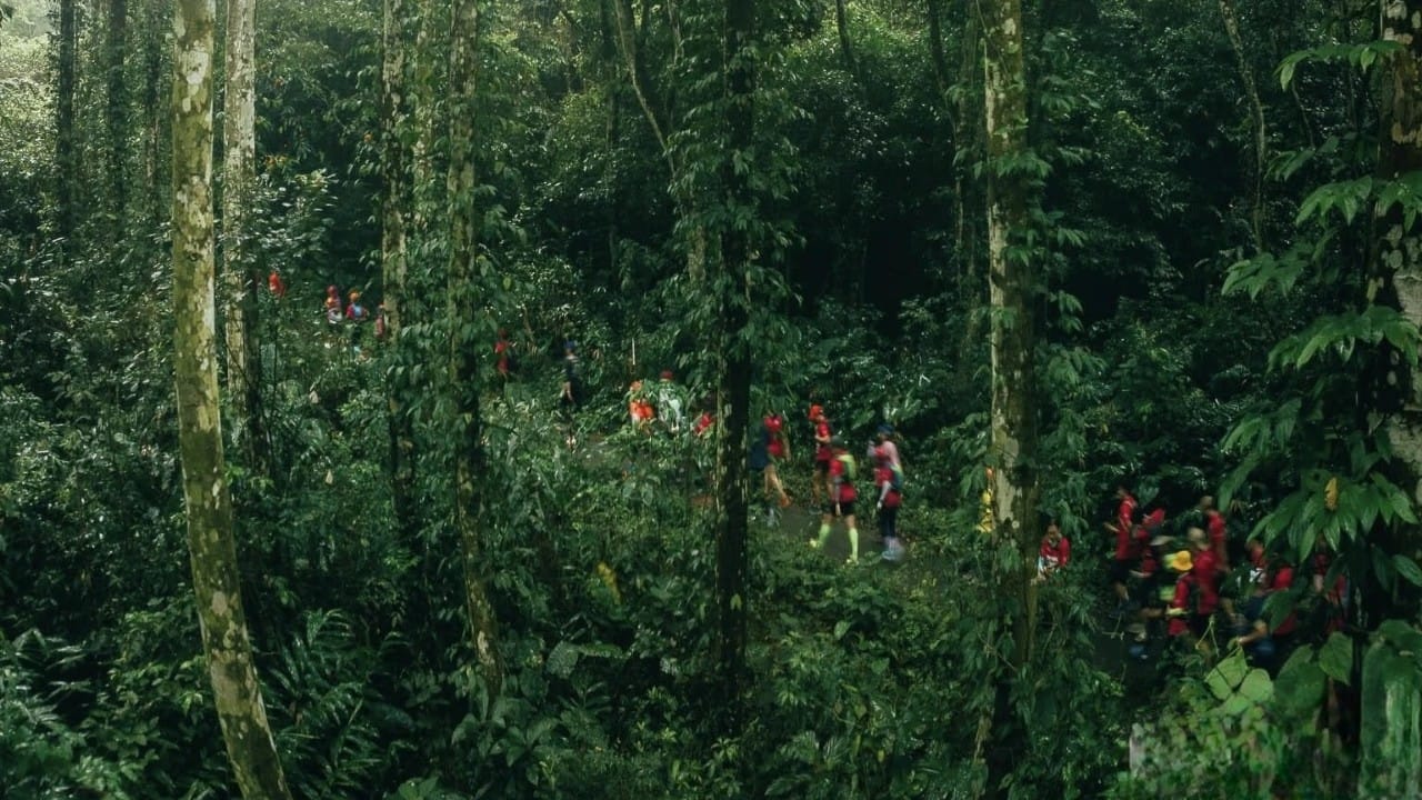 Trekking through ancient primary rainforests on a dedicated northern vietnam travel loop.