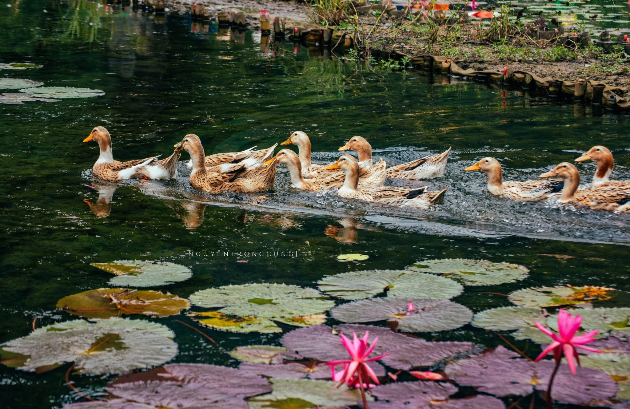 The intimate and adventurous Tam Coc Bich Dong experience offered by Xuyen Thuy Dong Cave.