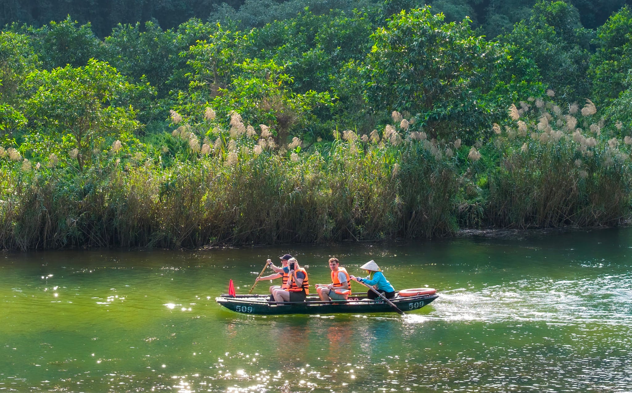 The essential experience: an immersive boat trip through the quiet reserve of Van Long Lagoon.
