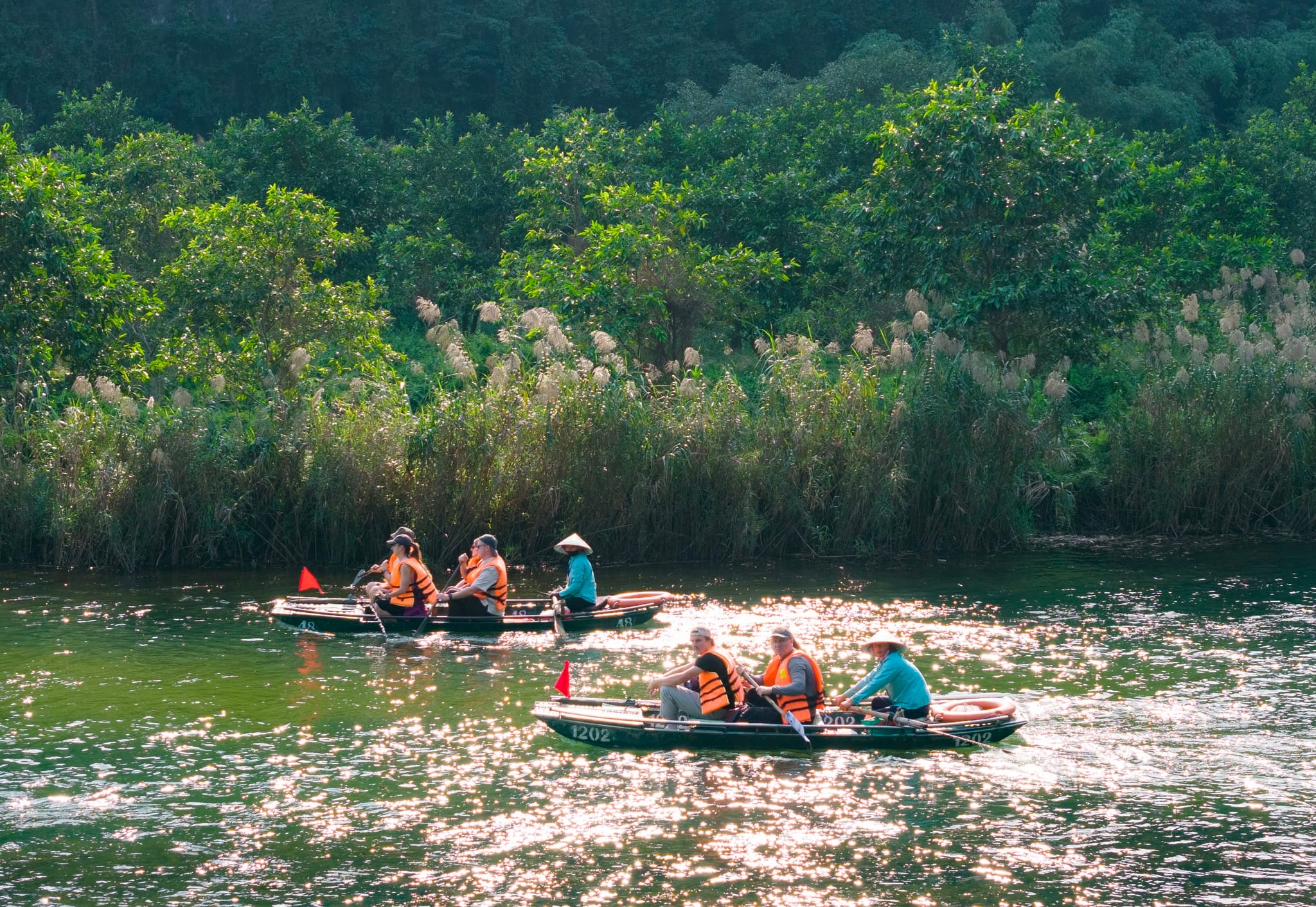 A boat ride through the "Bird Valley," offering a close-up look at Ninh Binh's diverse avian life.