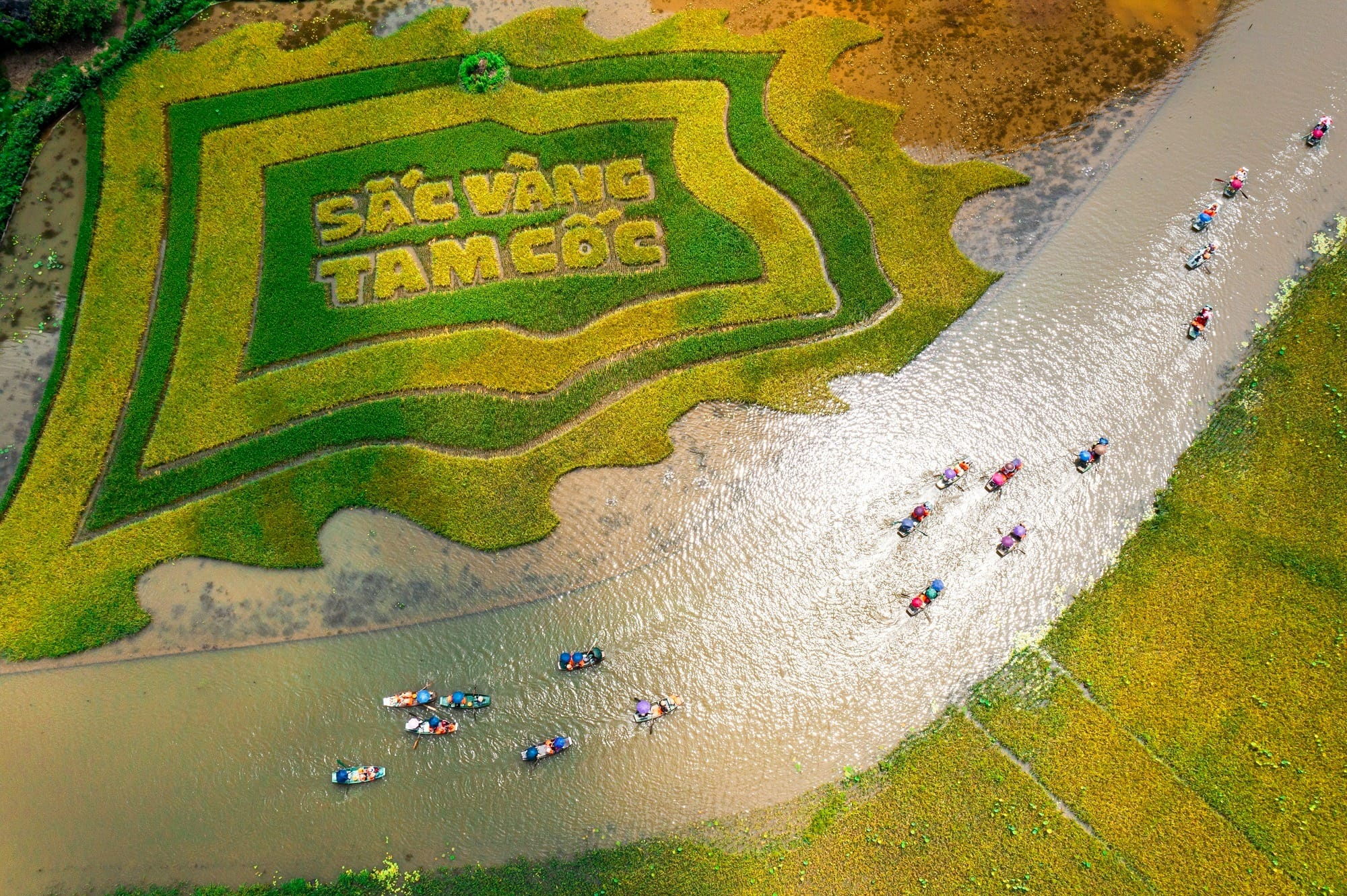 Vietnamese flags fly proudly on the hillside, embodying patriotism during the solemn celebration