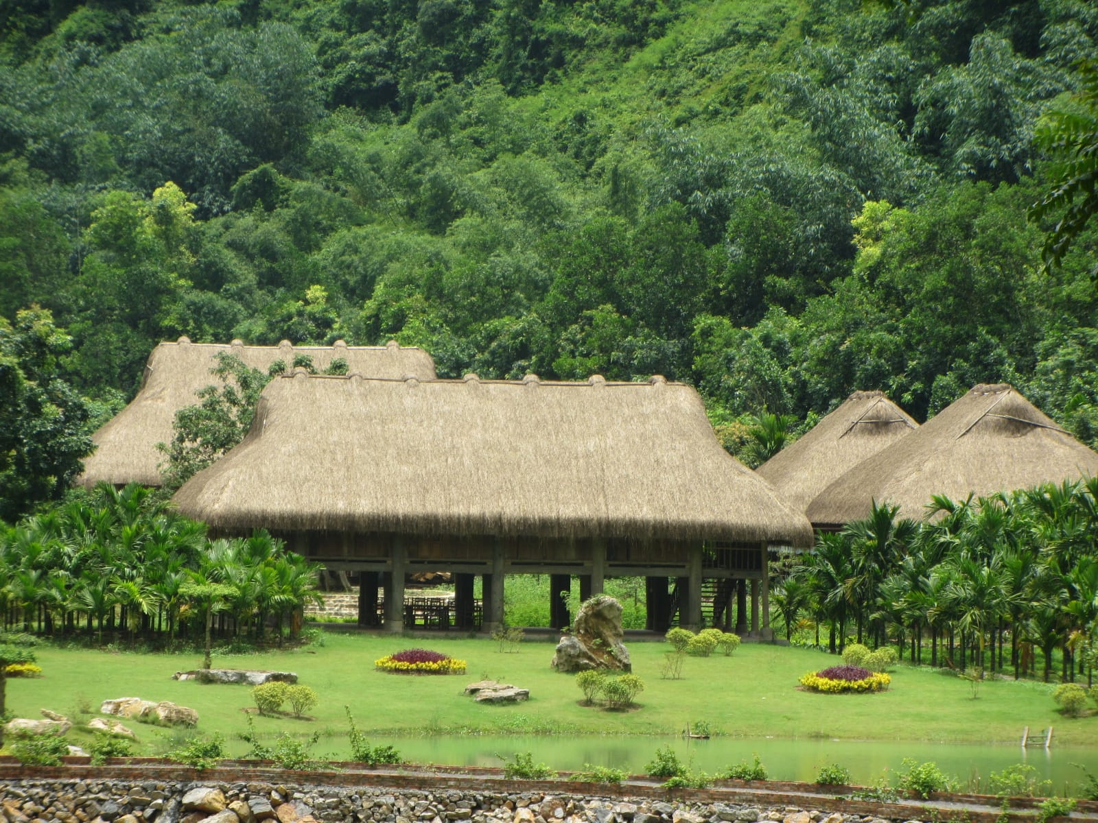 Walking through the refreshing atmosphere of the orchard garden, shaded by tall fruit trees.