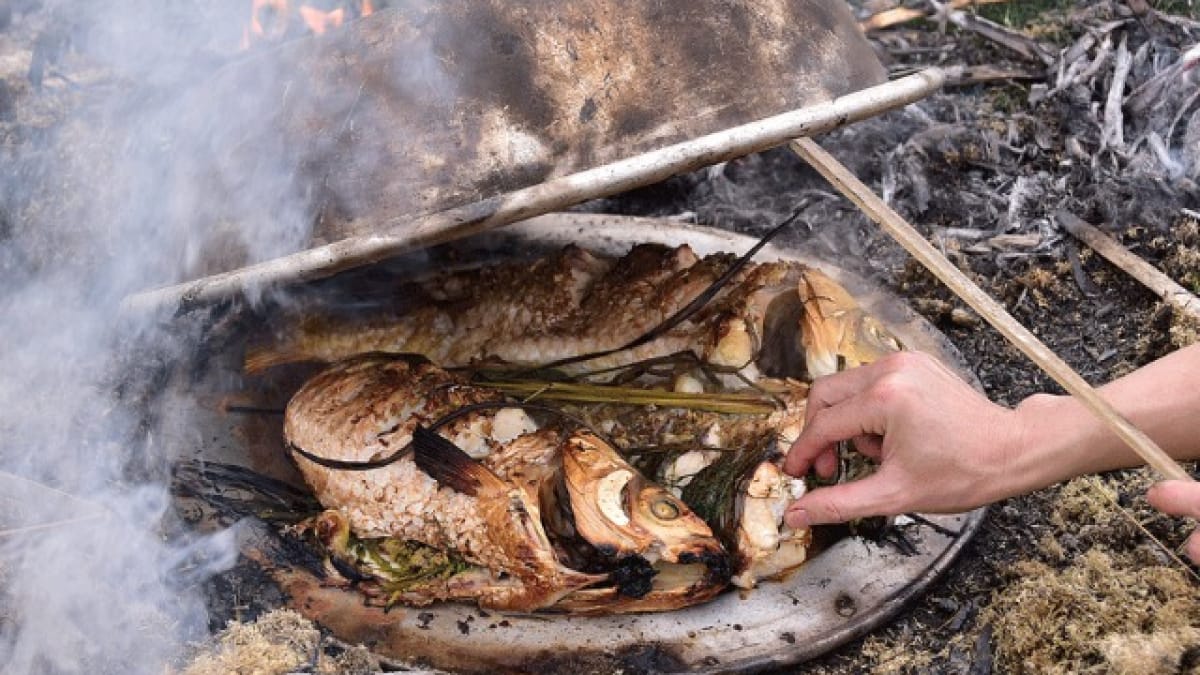 A true farm-to-table experience