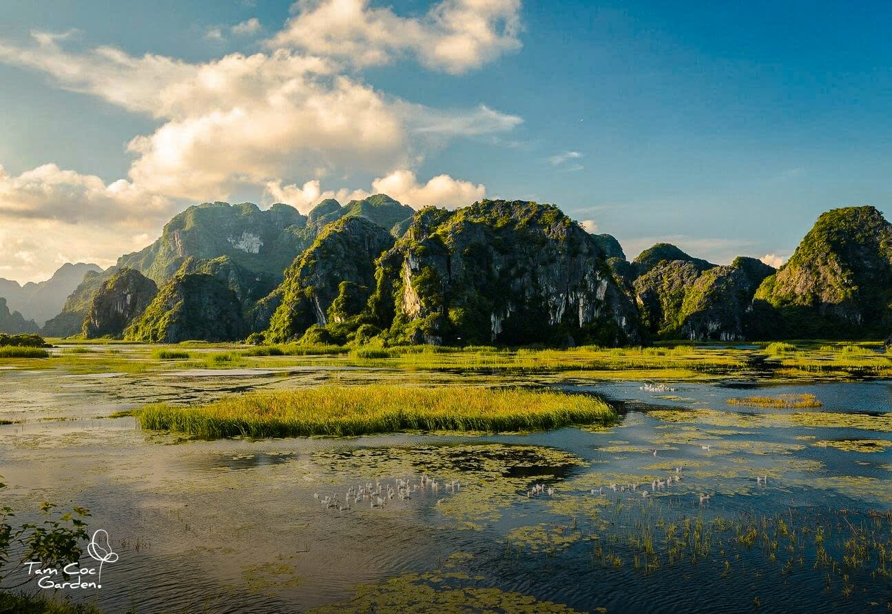 Rowing through the "waiveless bay," where jagged cliffs reflect perfectly on the water.