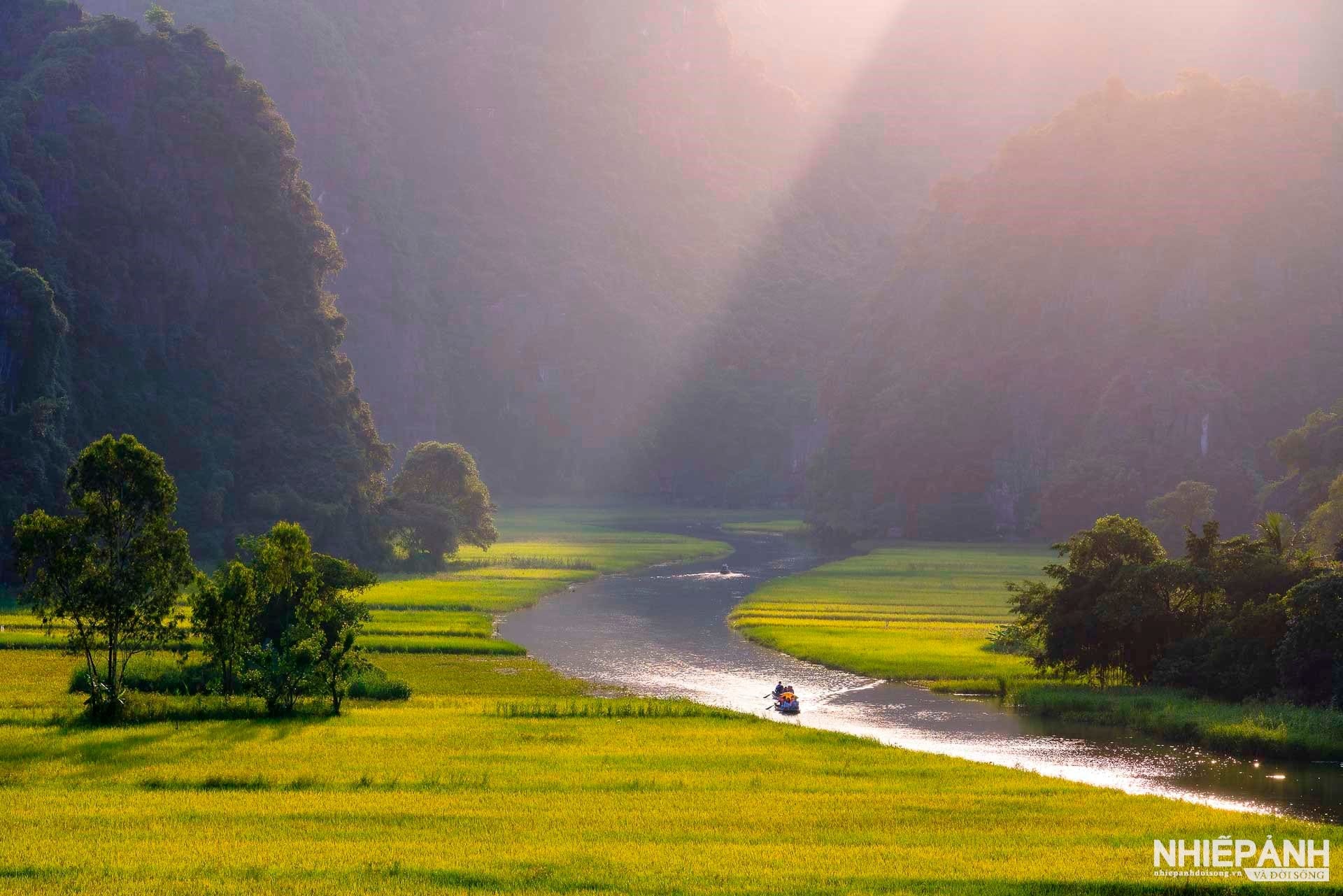 The lush emerald greens of the Ngo Dong River valley during the vibrant mid-season growing period.