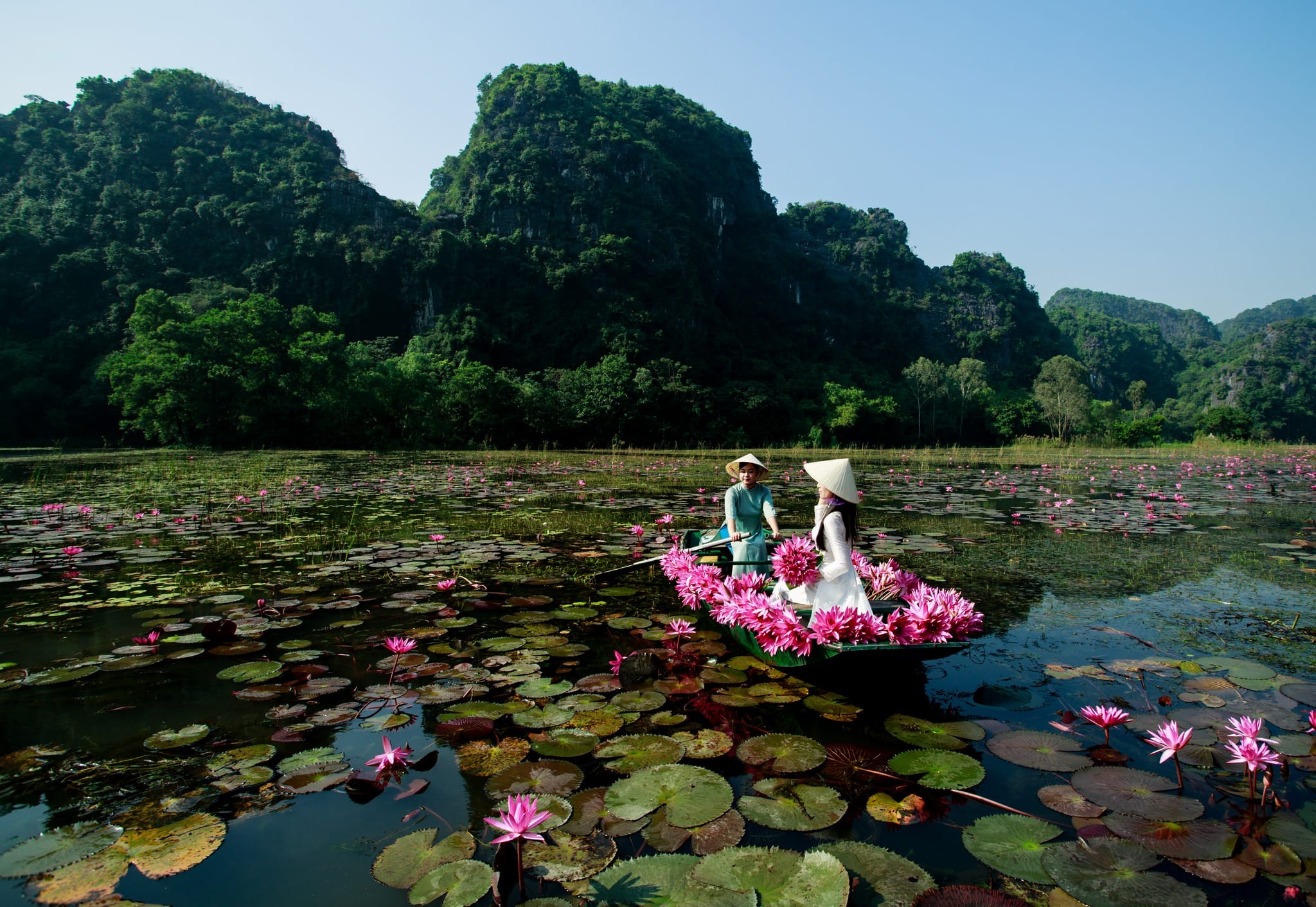 A breathtaking panoramic view that answers the question: is a Ninh Binh from Hanoi Tour worth it?