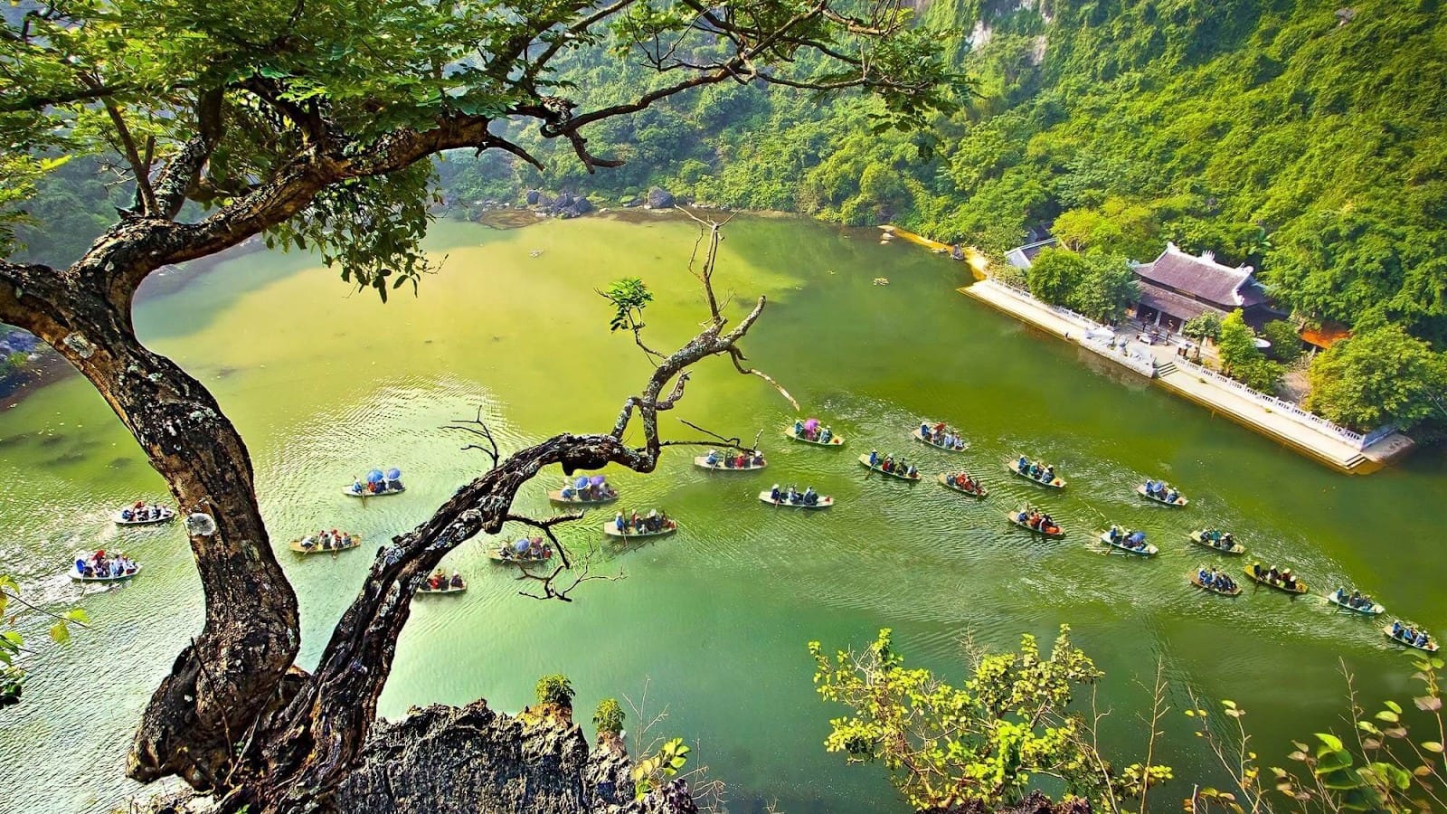 The organized and professional boat wharf at the Trang An vs Tam Coc UNESCO site.