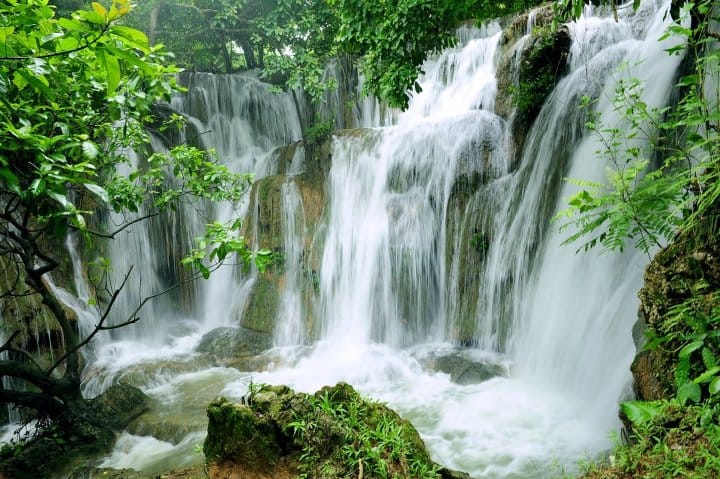 Trekking through ancient primary rainforest trails in Cuc Phuong National Park to conclude your ninh binh 4 days adventure