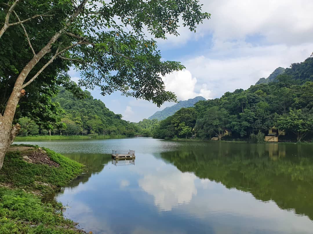 hiking beneath massive, centuries-old giant trees and dense tropical foliage.