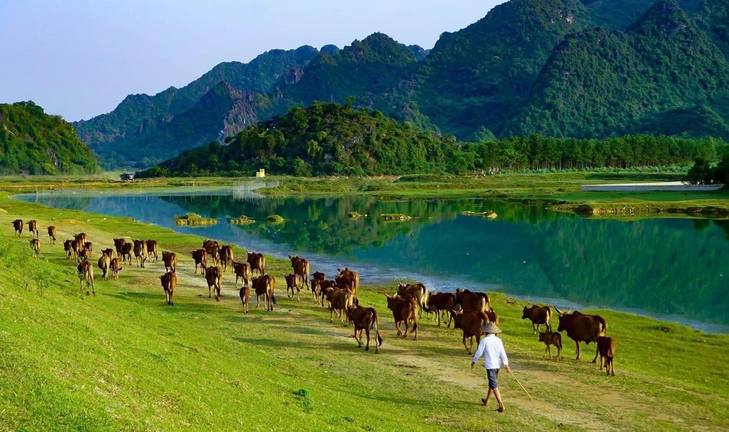 Cycling down peaceful country paths to discover authentic ninh binh hidden gems.