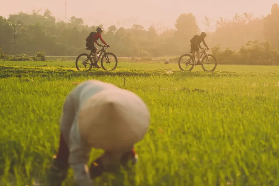 An international couple riding vintage bicycles along a narrow path between a emerald rice field and a karst wall