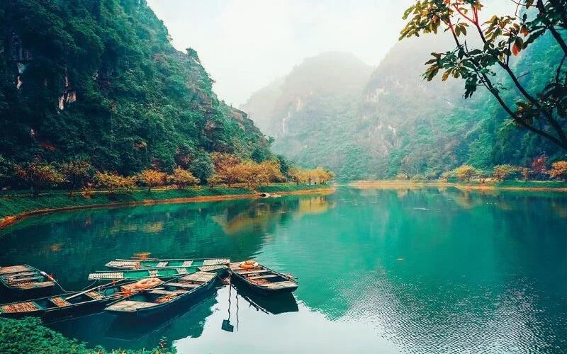 Tuyet Tinh Coc